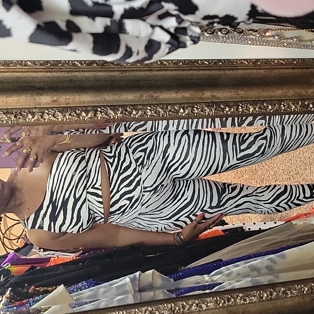 💥 NWOT Beautiful Zebra Print Set 💥 - Picture 15 of 17